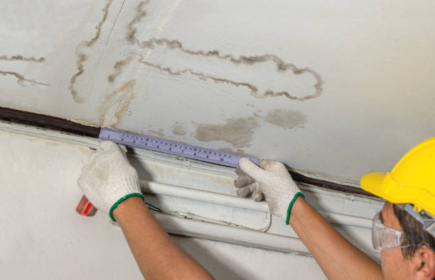 Reliable Water Damage contractor in Fairview, NC by Water Damage Irwin